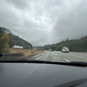 Meet your Posher, Meadow